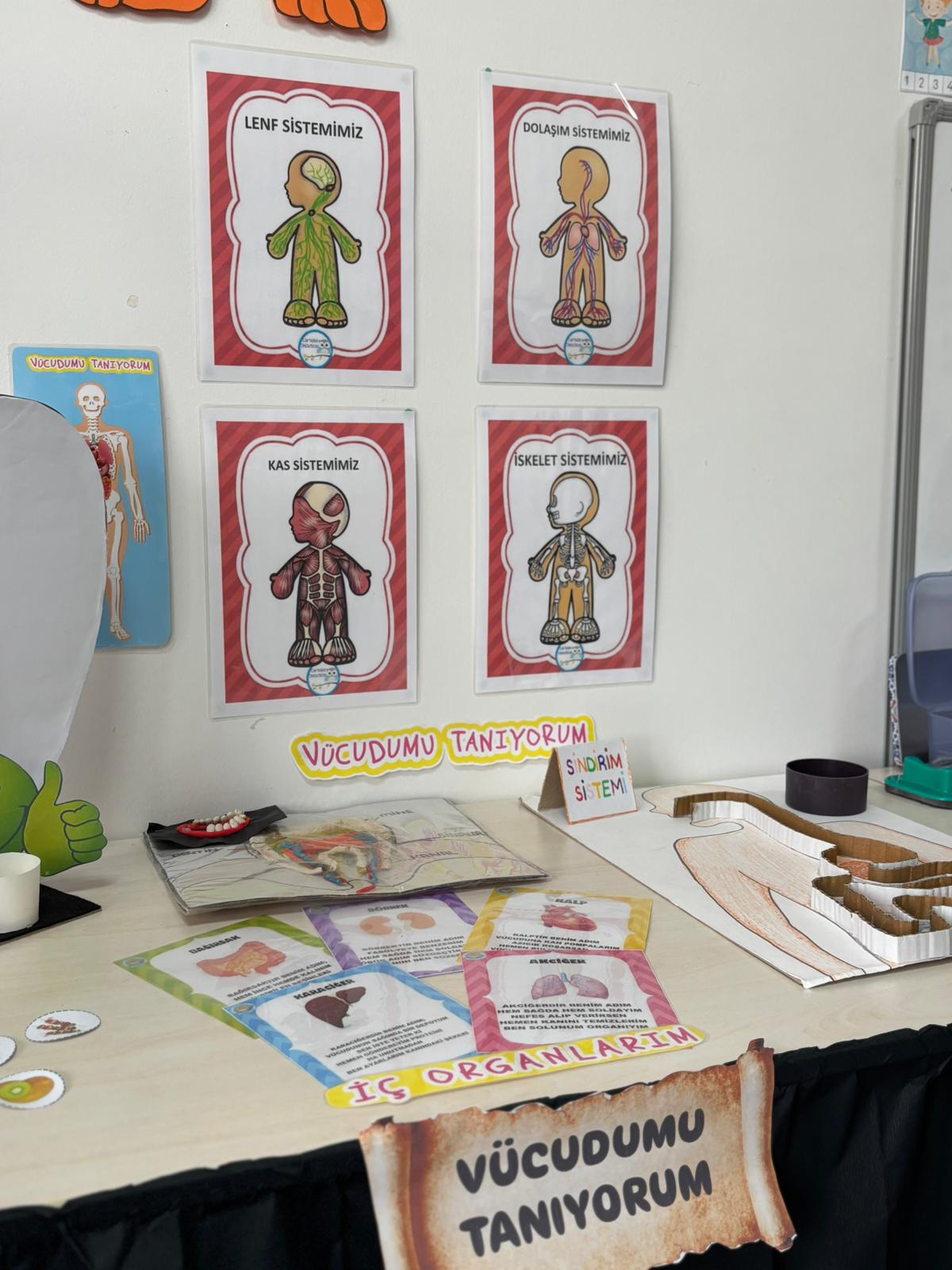 2025-2026 1. DÖNEM SONU PORTFOLYOMUZ